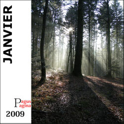 Index janvier 2009 copie