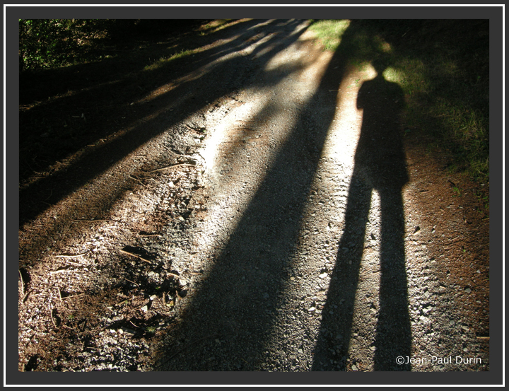 090725 - Autoportrait en forme d'arbre - Bouisset